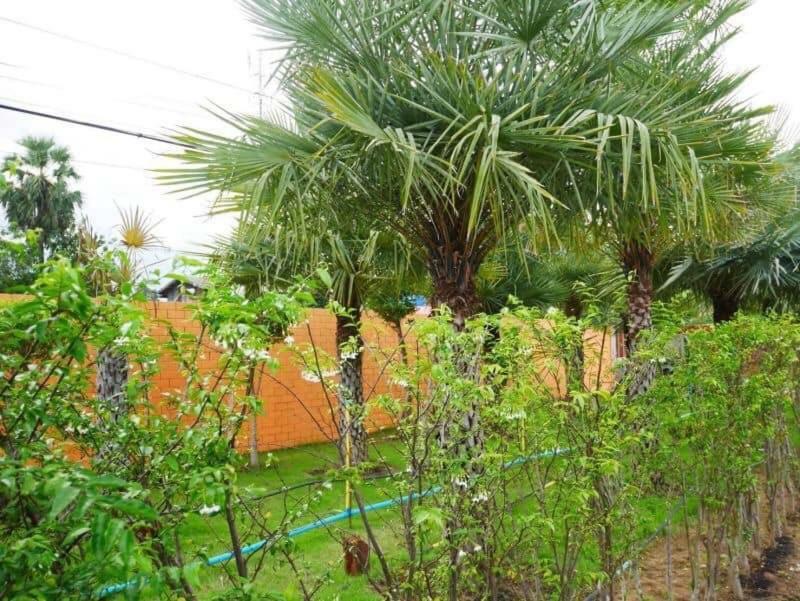 Tinna Resort Ban Nong Mai Ngam Extérieur photo